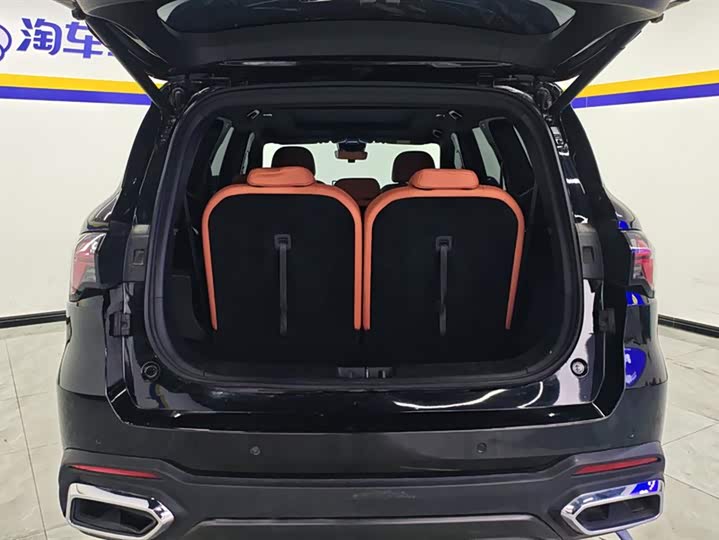 Geely Okavango L 2024 2024款 2.0T DCT旗舰型