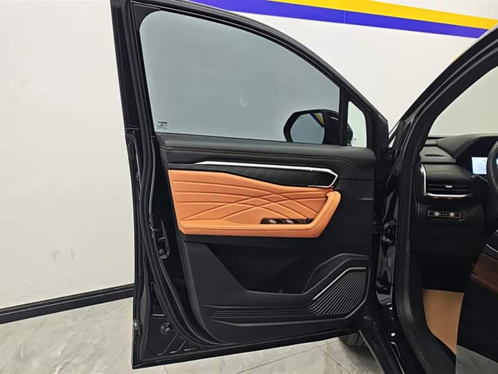 Geely Okavango L 2024 2024款 2.0T DCT旗舰型