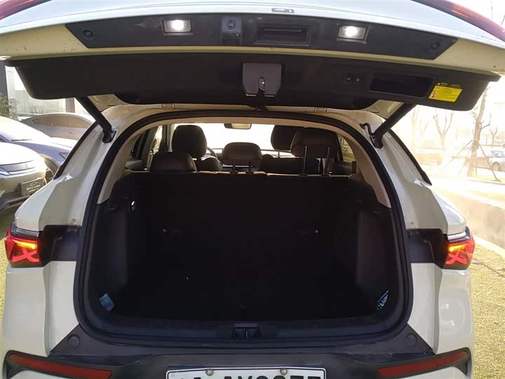 BYD Yuan Plus 2025 2025款 智驾版 510KM 超越型