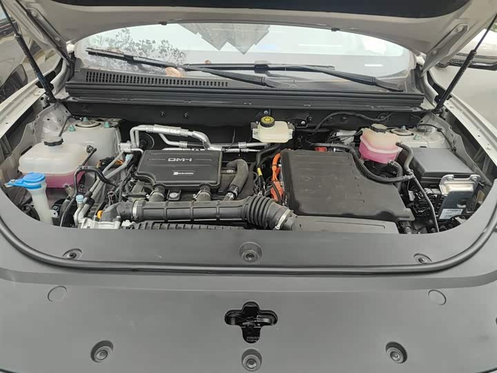 BYD Sea Lion 05 DM-i Hybrid 2025 2025款 DM-i 智驾版 115KM旗舰型