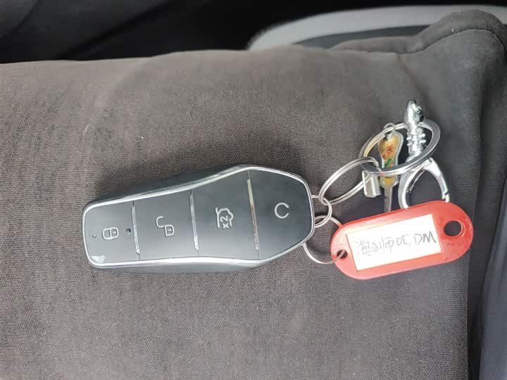 BYD Sea Lion 05 DM-i Hybrid 2025 2025款 DM-i 智驾版 115KM旗舰型