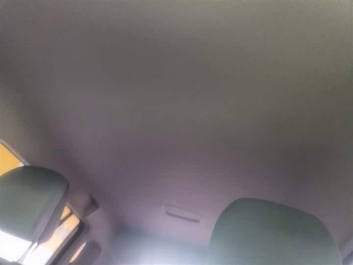 GAC Aion Y 2025 2025款 Plus 510 乐享版 58.4kWh