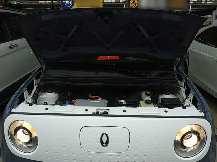 Ora Black Cat 2022 2022款 301km 萌宠版 磷酸铁锂