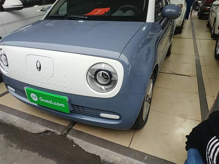 Ora Black Cat 2022 2022款 301km 萌宠版 磷酸铁锂