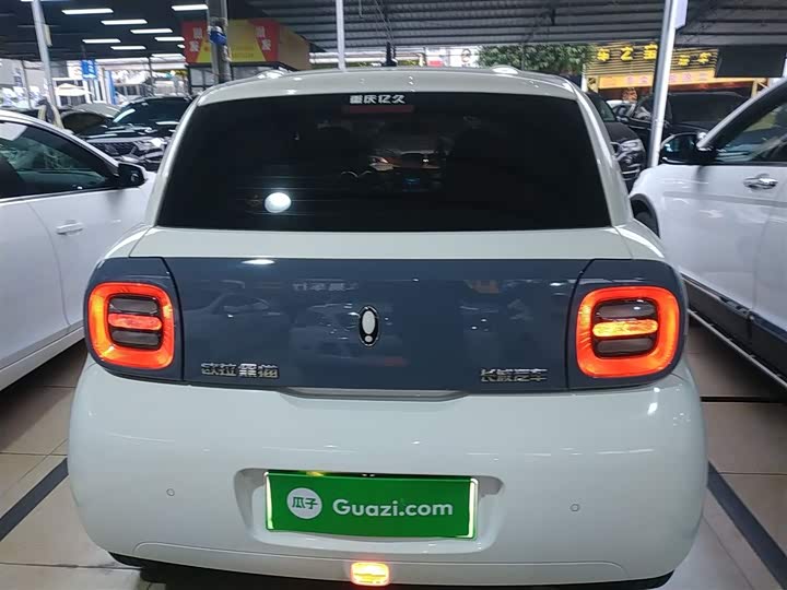 Ora Black Cat 2022 2022款 301km 萌宠版 磷酸铁锂