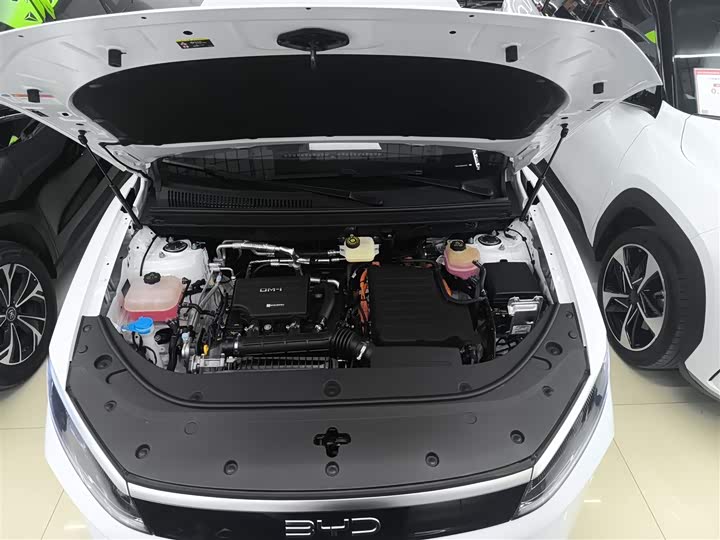 BYD Sea Lion 05 DM-i Hybrid 2025 2025款 DM-i 智驾版 115KM旗舰型