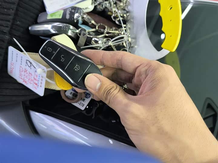 BYD Sea Lion 05 DM-i Hybrid 2025 2025款 DM-i 智驾版 115KM旗舰型