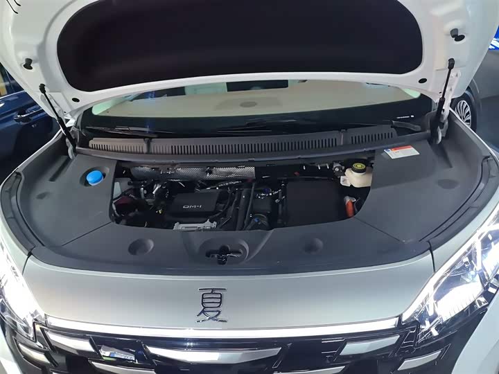 BYD Xia 2025 2025款 DM-i 1.5T 180km 超越型