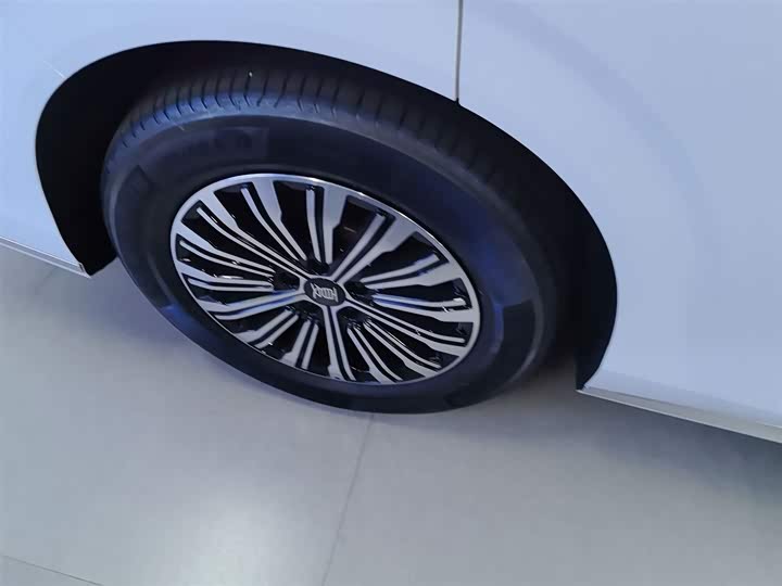 BYD Xia 2025 2025款 DM-i 1.5T 180km 超越型