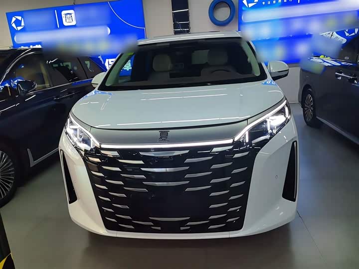 BYD Xia 2025 2025款 DM-i 1.5T 180km 超越型