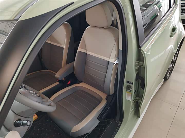 Ora White Cat 2022 2022款 小野猫版 360km 豪华型 三元锂