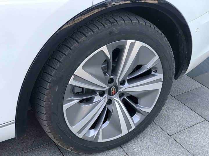 Hongqi E-HS9 2022 2022款 660km 旗畅版 六座