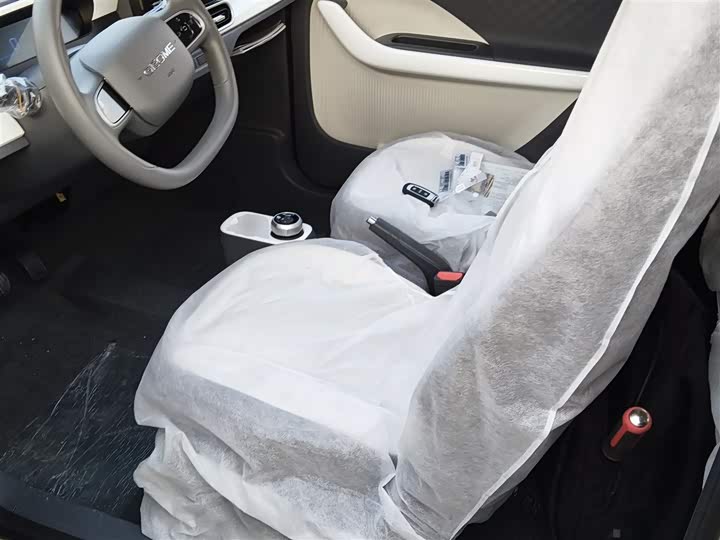 Geely Galaxy Panda Mini 2025 2025款 熊猫mini 210km 元气熊