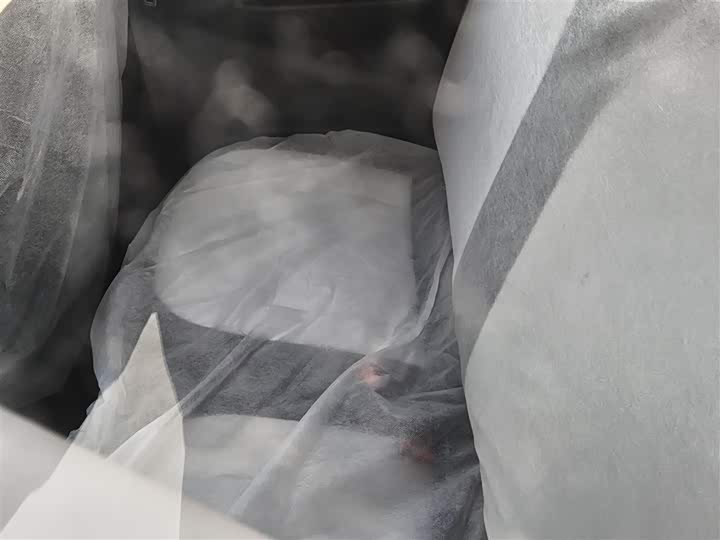 Geely Galaxy Panda Mini 2025 2025款 熊猫mini 210km 元气熊