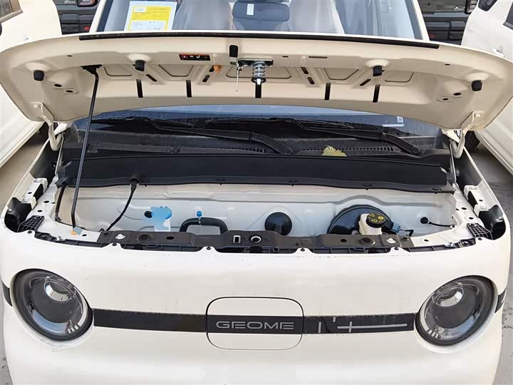 Geely Galaxy Panda Mini 2025 2025款 熊猫mini 210km 元气熊