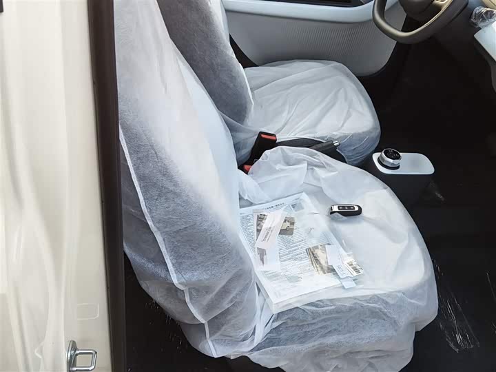 Geely Galaxy Panda Mini 2025 2025款 熊猫mini 210km 元气熊