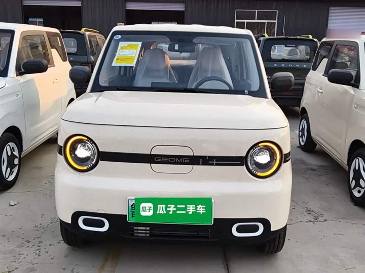 Geely Galaxy Panda Mini 2025 2025款 熊猫mini 210km 元气熊