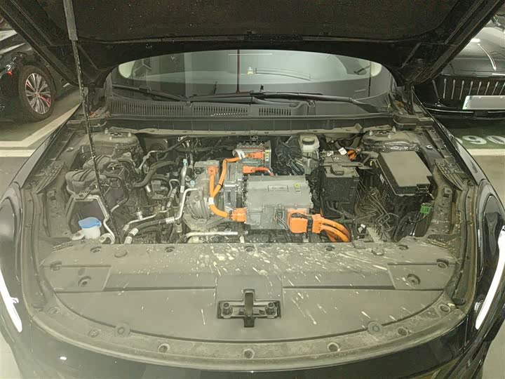 Hongqi E-QM5 2024 2024款 560km PLUS