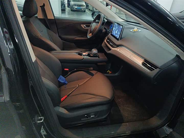 Hongqi E-QM5 2024 2024款 560km PLUS