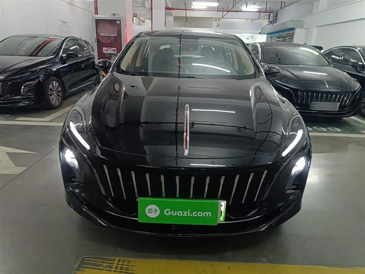 Hongqi E-QM5 2024 2024款 560km PLUS