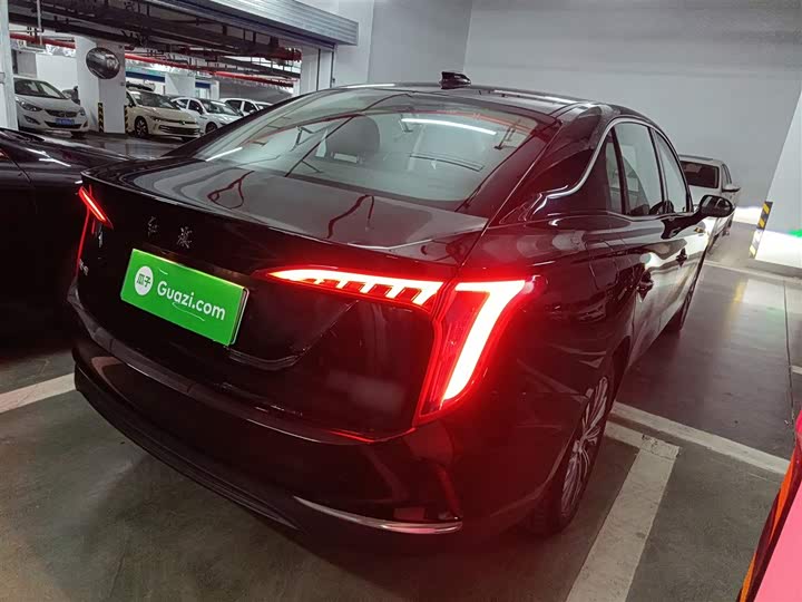 Hongqi E-QM5 2024 2024款 560km PLUS