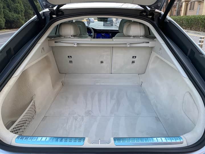 Mercedes-Benz EQS 2022 2022款 450+ 先锋版