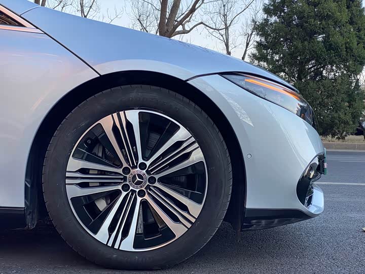 Mercedes-Benz EQS 2022 2022款 450+ 先锋版