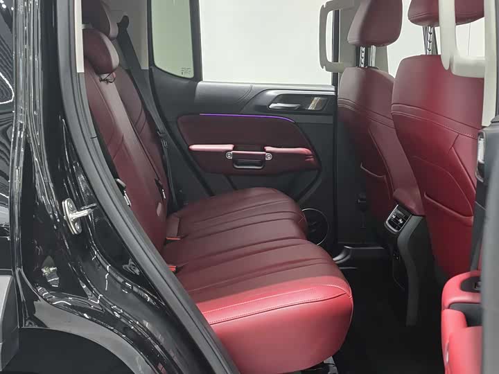 Tank 300 2024 2024款 2.0T 征服者