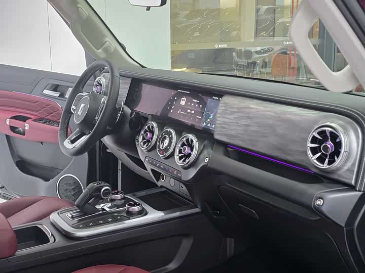 Tank 300 2024 2024款 2.0T 征服者