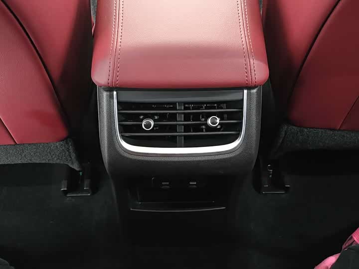 Tank 300 2024 2024款 2.0T 征服者