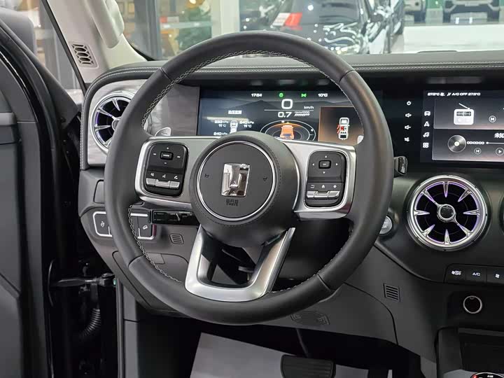 Tank 300 2024 2024款 2.0T 征服者