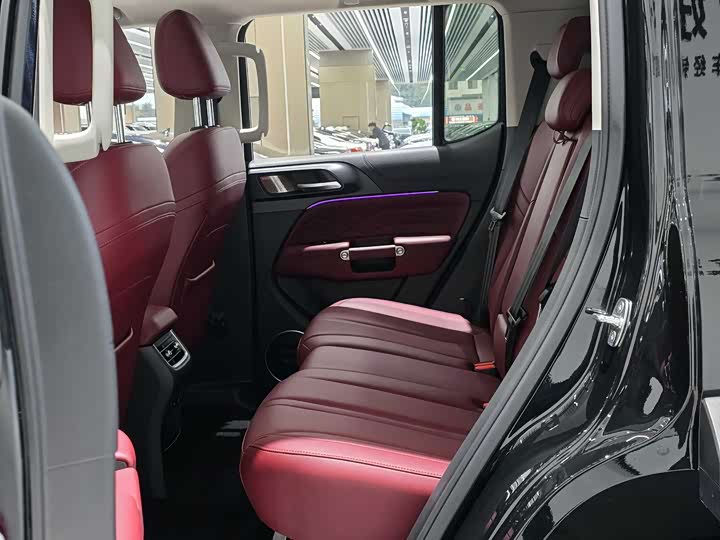 Tank 300 2024 2024款 2.0T 征服者