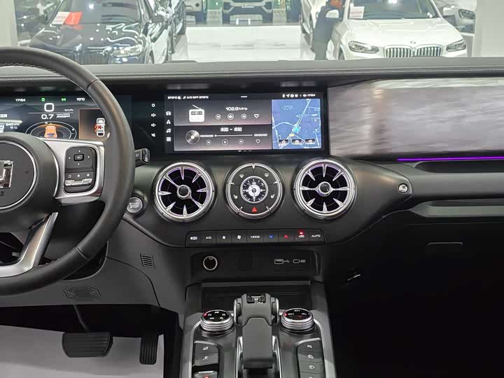 Tank 300 2024 2024款 2.0T 征服者