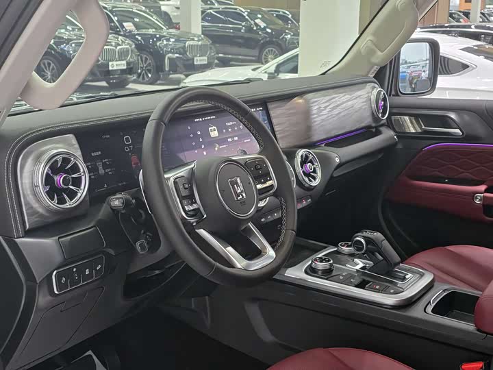 Tank 300 2024 2024款 2.0T 征服者