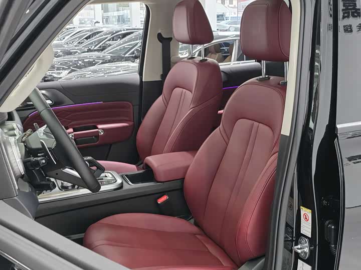 Tank 300 2024 2024款 2.0T 征服者