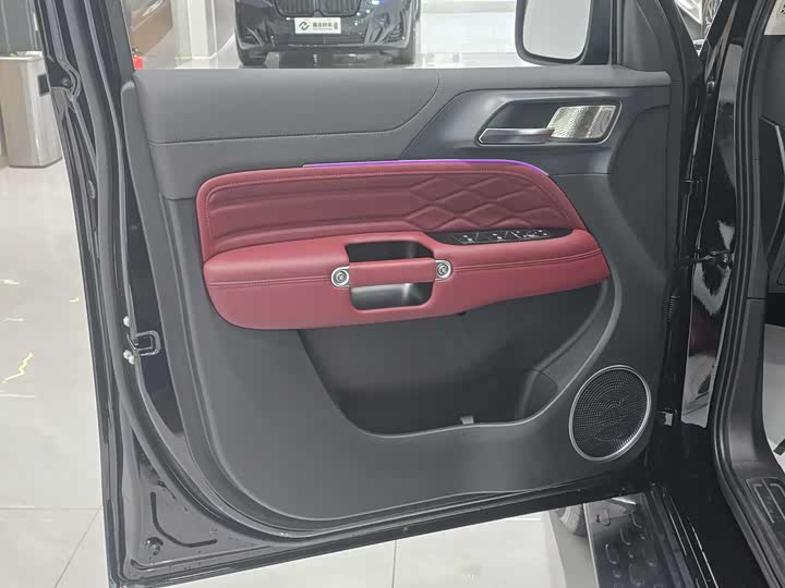 Tank 300 2024 2024款 2.0T 征服者