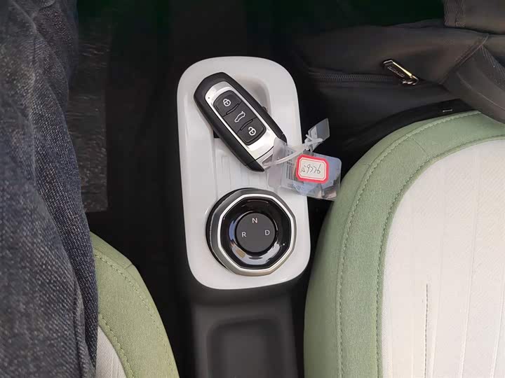 Geely Galaxy Panda Mini 2025 2025款 熊猫mini 210km 元气熊