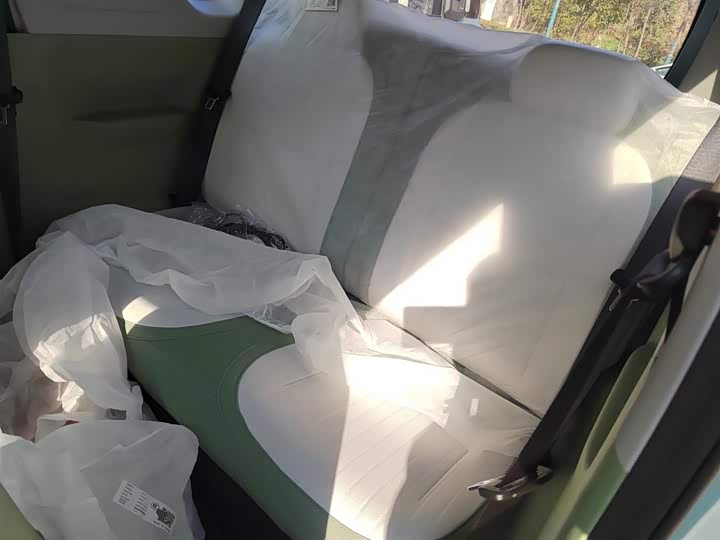 Geely Galaxy Panda Mini 2025 2025款 熊猫mini 210km 元气熊