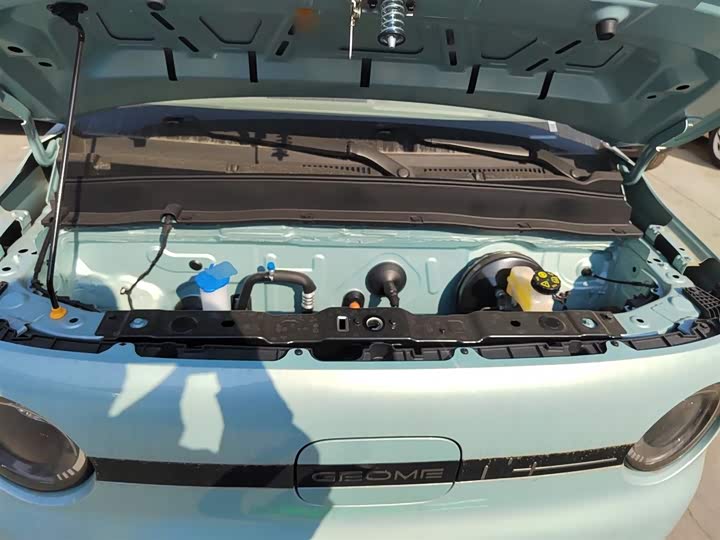 Geely Galaxy Panda Mini 2025 2025款 熊猫mini 210km 元气熊