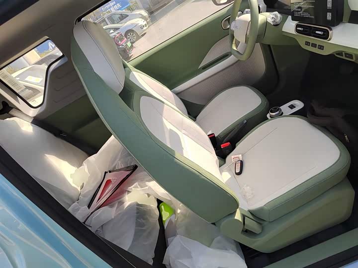 Geely Galaxy Panda Mini 2025 2025款 熊猫mini 210km 元气熊