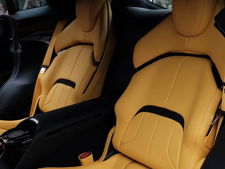 Ferrari Purosangue 2023 2023款 6.5L V12