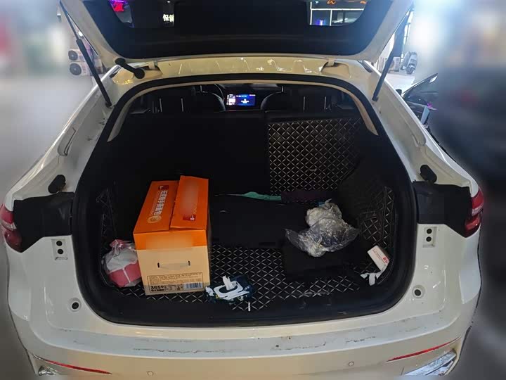 Haval F7x 2021 2021款 1.5T 两驱极智潮玩版