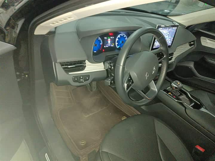 Hongqi E-QM5 2024 2024款 560km PLUS