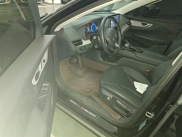 Hongqi E-QM5 2024 2024款 560km PLUS