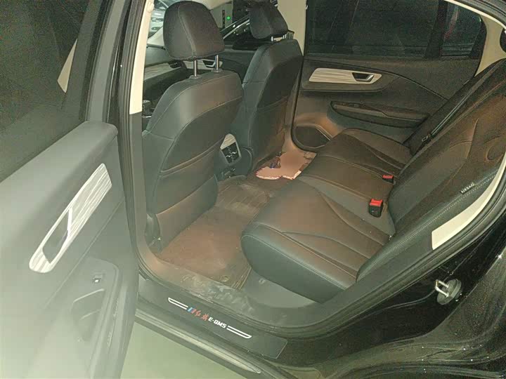 Hongqi E-QM5 2024 2024款 560km PLUS