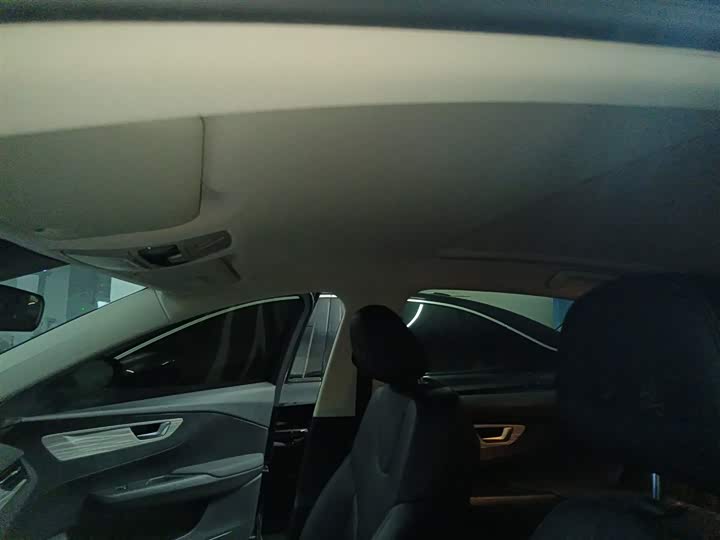 Hongqi E-QM5 2024 2024款 560km PLUS