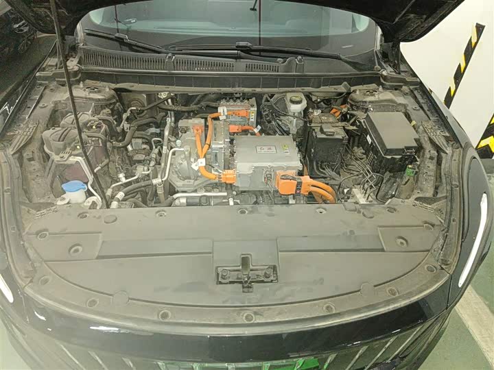 Hongqi E-QM5 2024 2024款 560km PLUS