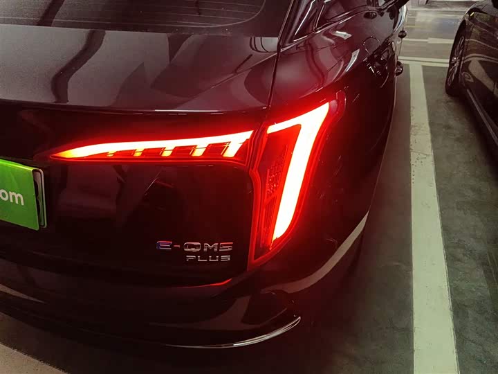 Hongqi E-QM5 2024 2024款 560km PLUS