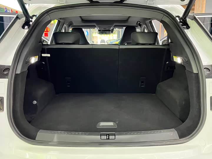 Jetour Shanhai L6 2024 2024款 1.5TD DHT MAX