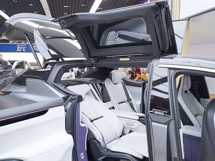 HiPhi X 2021 2021款 创始版4座